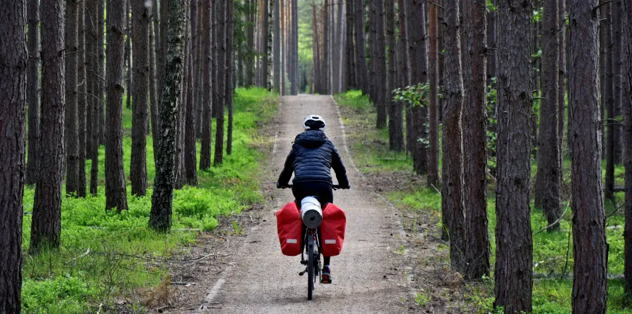 Bory Tucholskie szlak rowerowy jesienią