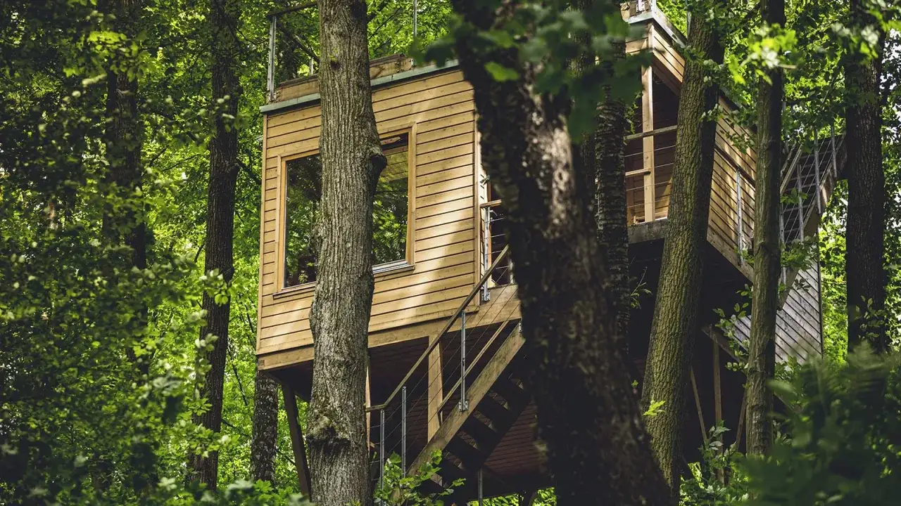 Glamping i domki na drzewie w Polsce